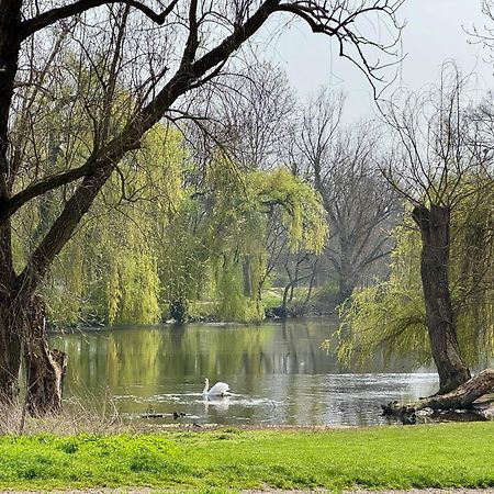 Strasbourg, Appartement Cosy Au Bord De L Eau エクステリア 写真