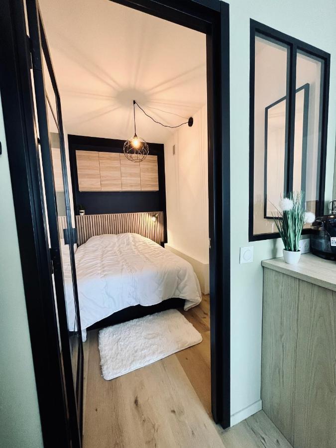 Strasbourg, Appartement Cosy Au Bord De L Eau エクステリア 写真