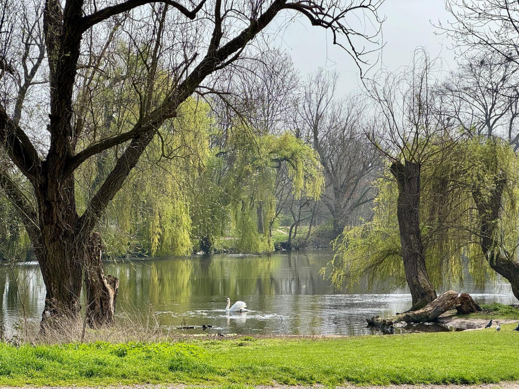 Strasbourg, Appartement Cosy Au Bord De L Eau エクステリア 写真