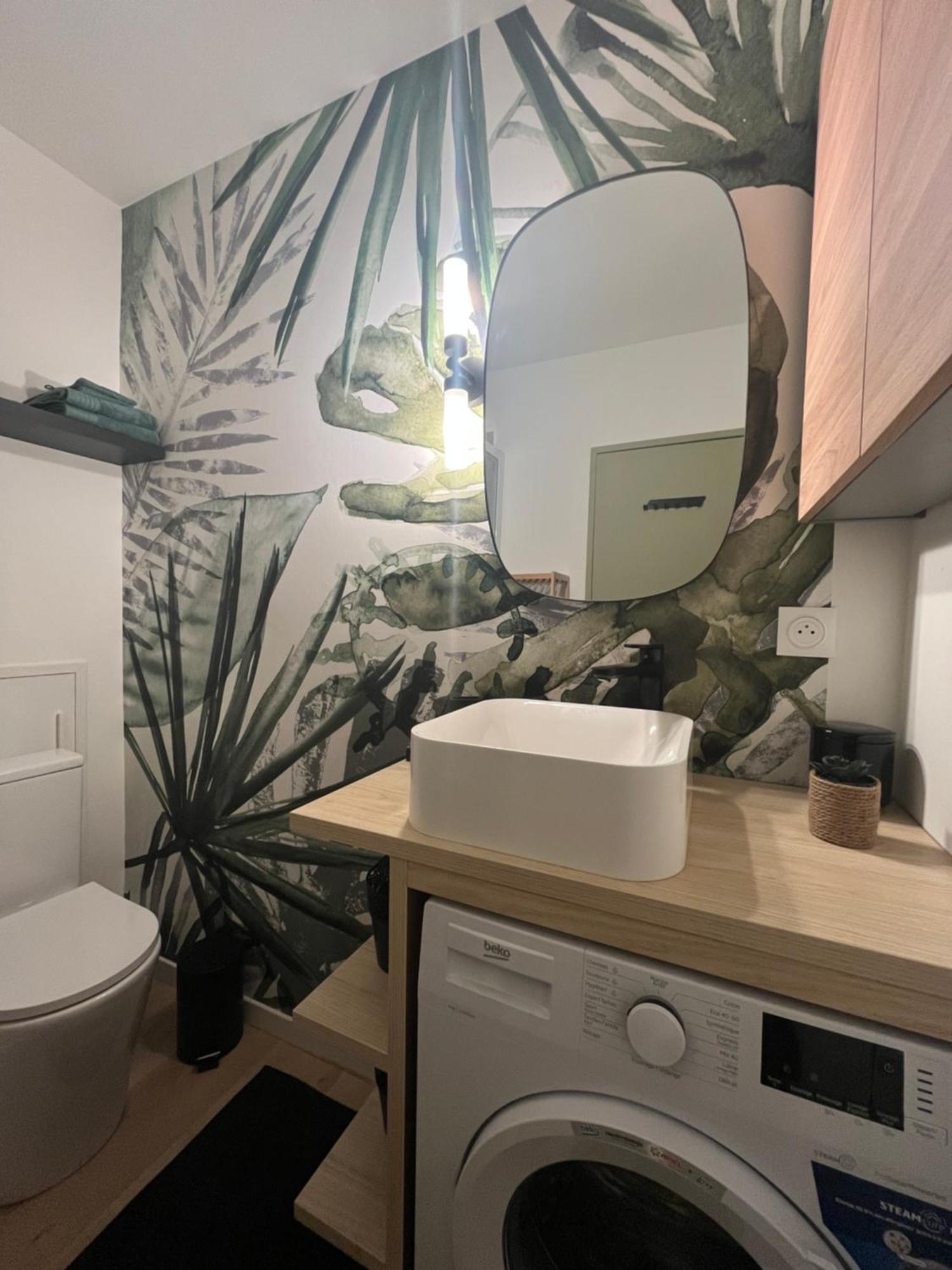 Strasbourg, Appartement Cosy Au Bord De L Eau エクステリア 写真
