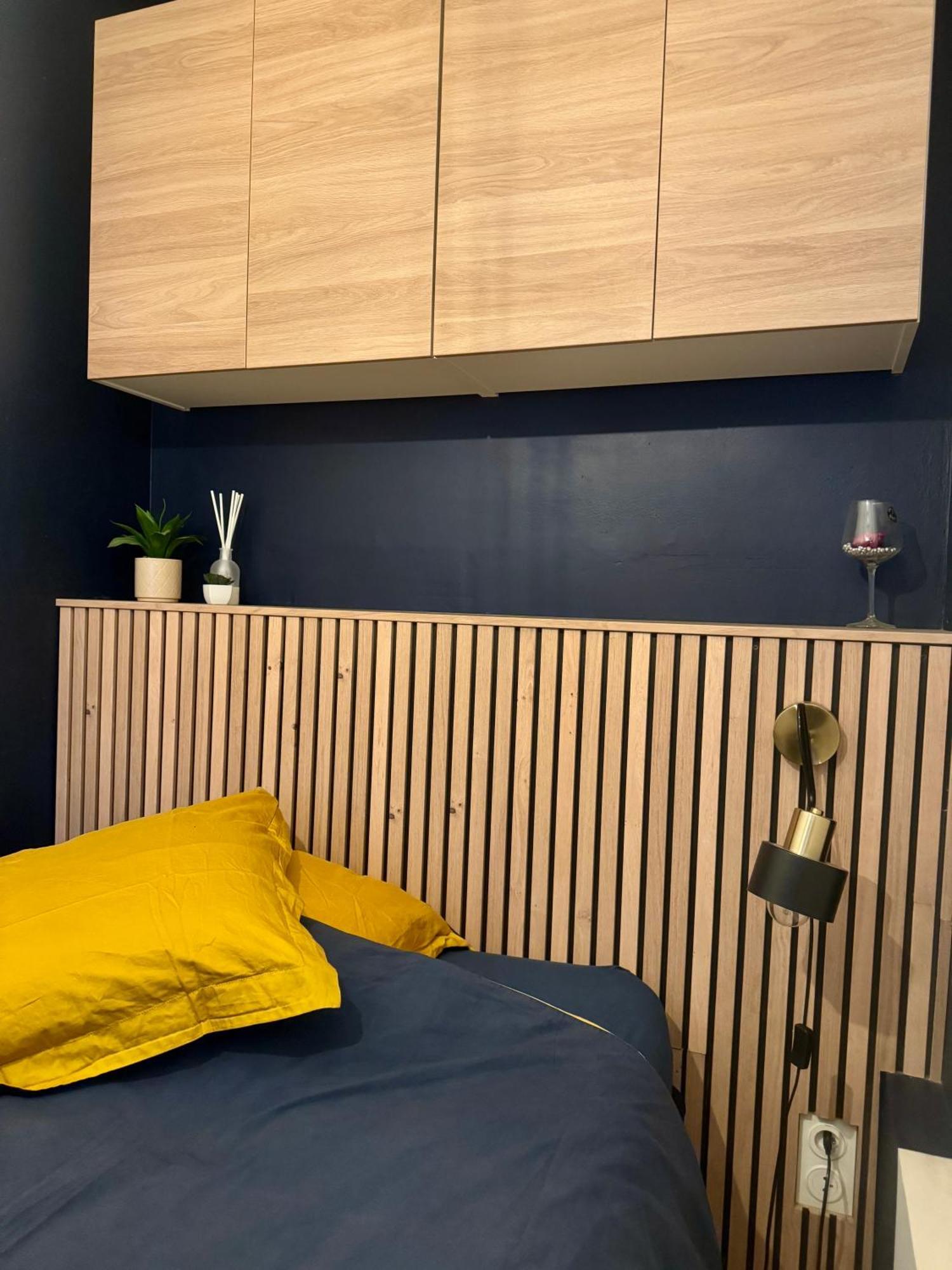 Strasbourg, Appartement Cosy Au Bord De L Eau エクステリア 写真