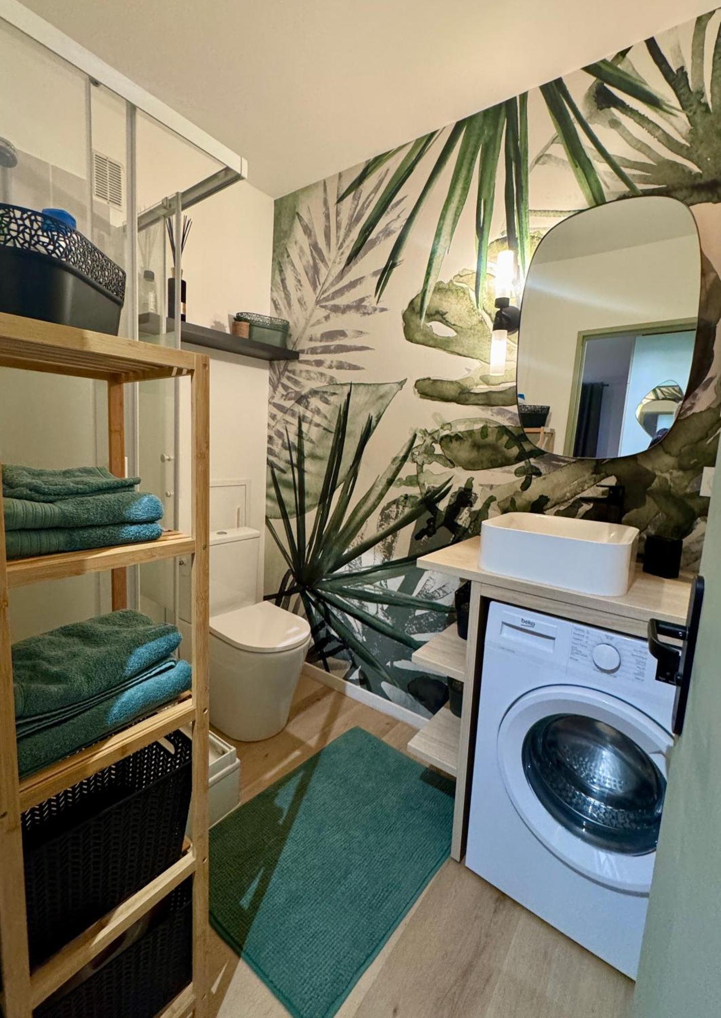 Strasbourg, Appartement Cosy Au Bord De L Eau エクステリア 写真